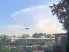 -蘇河湾·新鲁菜·泰山宴(泰山店)