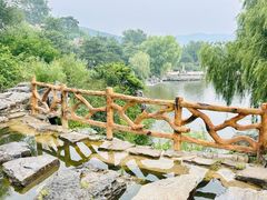 -北京西山国家森林公园