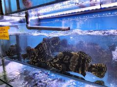 -钱塘府海鲜餐厅