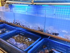 -鲁商铂尔曼大酒店·铂丽自助餐厅