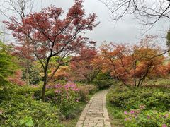 -苏州上方山国家森林公园