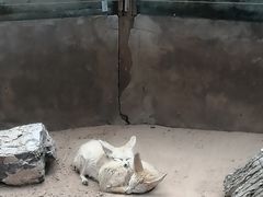 -云南野生动物园