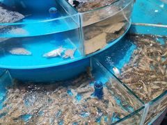 -咱家大院海鲜家常菜