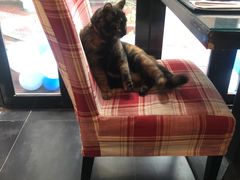 -EATALIA意塔利意式餐厅(鼓楼店)