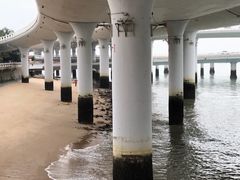 -演武大桥观景平台