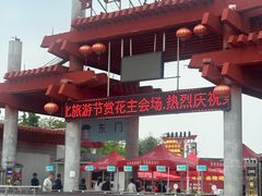-曹州牡丹园