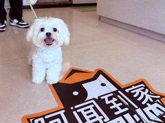 -瑞鹏宠物医院(大运分院)