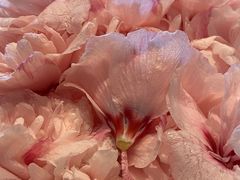 -炳胜公馆(珠江新城店)