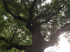 -杭州黄龙洞