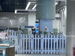 -怪兽屋·羊驼·猫咖·狗咖(俊华广场店)