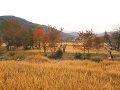 -塔川景区