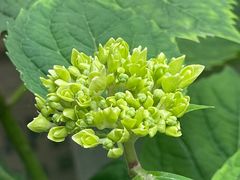 -泉乐坊步行街(烟酒特产平价超市店)