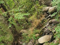 -云岫谷自然风景区