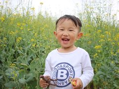 -光明小镇欢乐田园