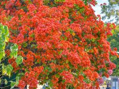 -天河客运站(地铁站)