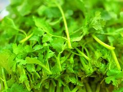 -傣家黑山羊汤锅(告庄店)