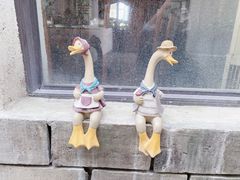 -水岸居湖景农家乐·阳澄湖大闸蟹