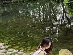 -成都市活水公园