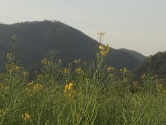 -绩溪龙川景区