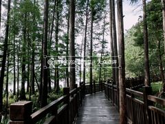 -东湖落雁景区