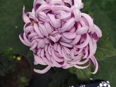 -上方山森林动物世界