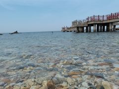 -养马岛旅游度假区