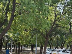 -安飞驰驾校·学车连锁(金高店)
