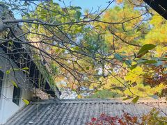 -临平公园(临平街道)
