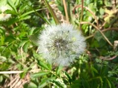 -白草畔自然风景区