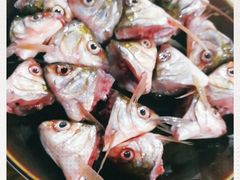 -章记正宗南岗鱼蛋火锅