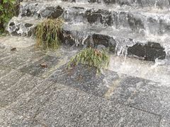 -沂蒙山旅游区龟蒙景区