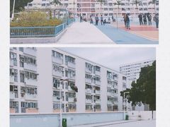 -彩虹村