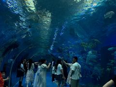 -波塞冬旅游度假区