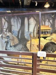 -酷嗒动物文化乐园(cutezoo西溪乐天城店)