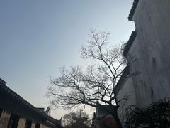 -广富林郊野公园