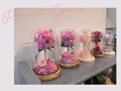 -植物学家的女儿(北马道巷店)