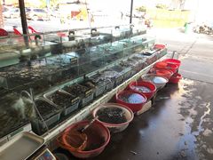 -常家活海鲜小吃(仅一家无分店)