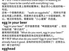 -英孚教育青少儿英语(长宁来福士中心)