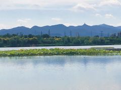 -永定河休闲森林公园