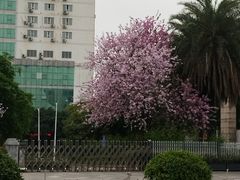 -桂林站