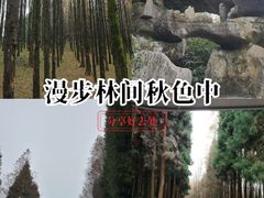 -山王坪喀斯特国家生态公园
