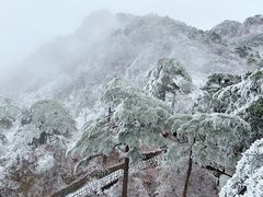 -黄山风景区