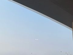 -青岛胶东国际机场