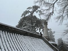 -潭柘寺景区