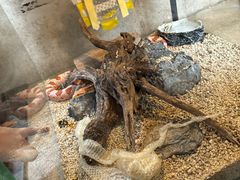 -自然博物馆(地铁站)