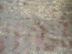 -雍村饭店(西安钟楼大差市地铁站店)