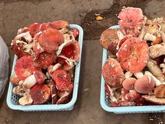 -云南木水花野生菌交易中心