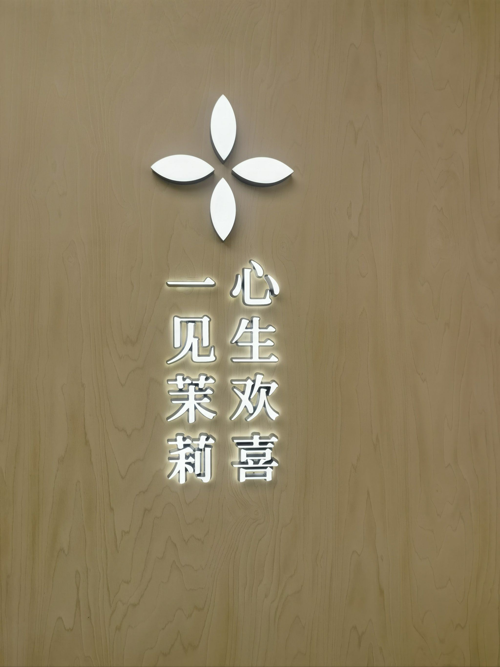 一见茉莉 心生欢喜