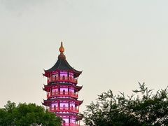 -绳金塔