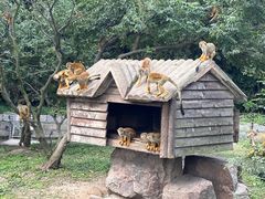 -上海野生动物园